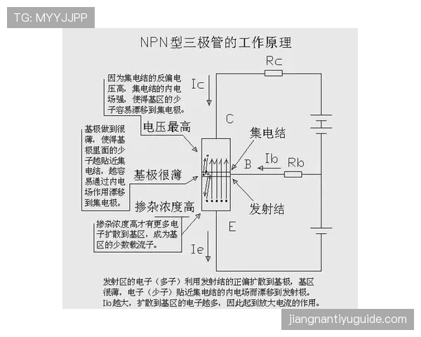 深入解析篮球比赛中 14 秒重置规则的触发条件与判罚标准